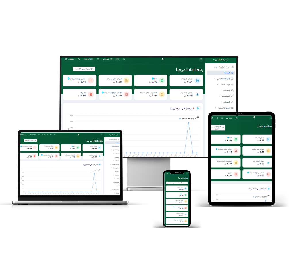 INTALICA ERP System Screenshot